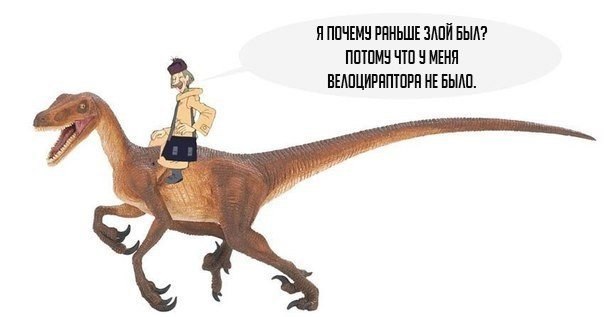 kNfcZf3fgXU.jpg