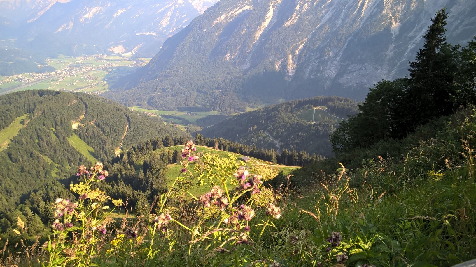 WP_20150809_17_39_04_Pro.jpg