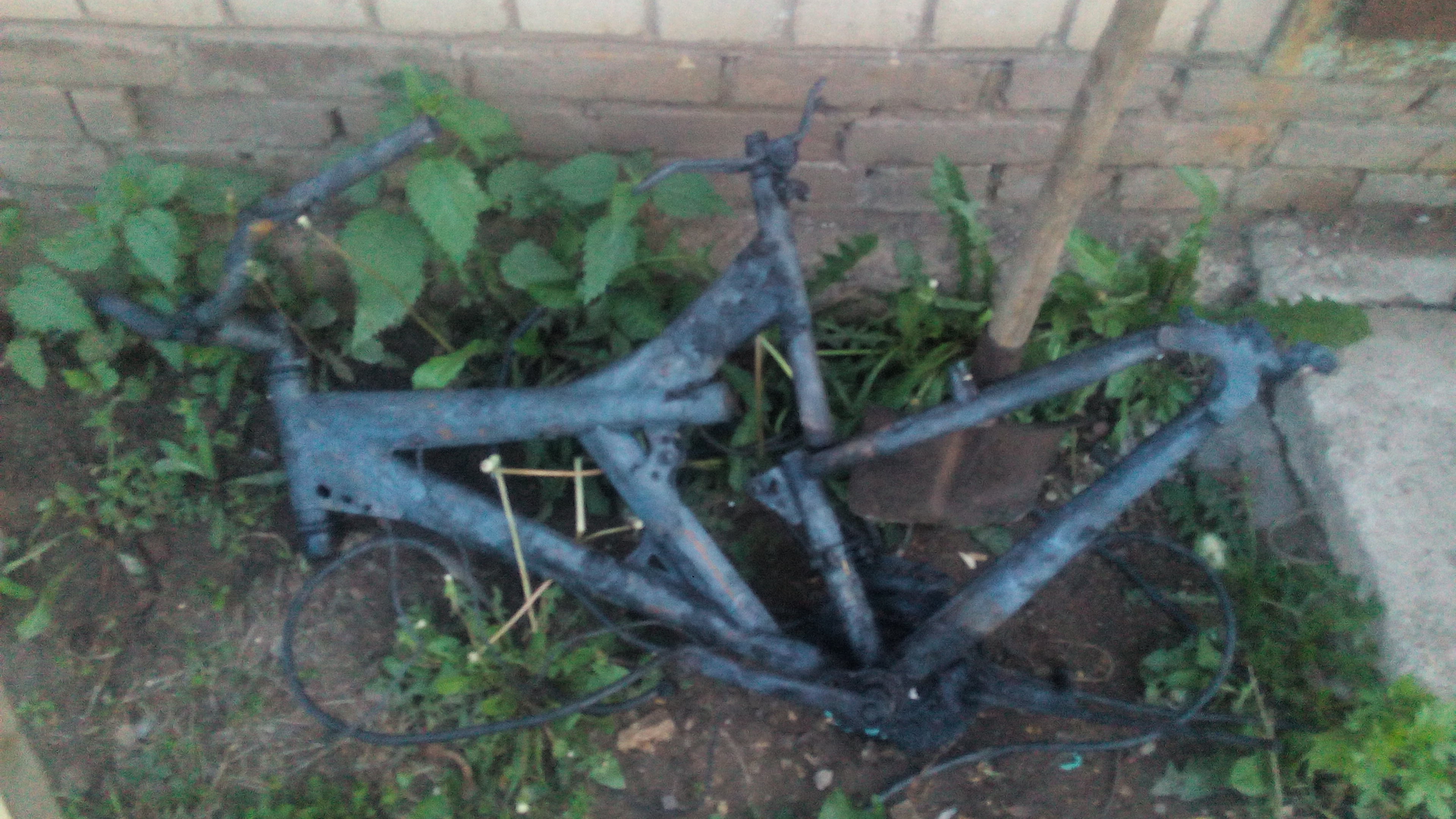 IMG-20160606-WA0039.jpeg