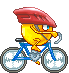 Volkodav